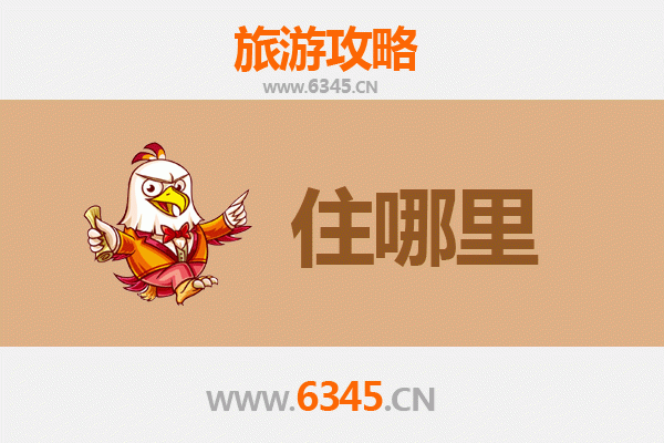 郑州中牟旅游民宿全攻略：沉浸式体验文化与自然之美